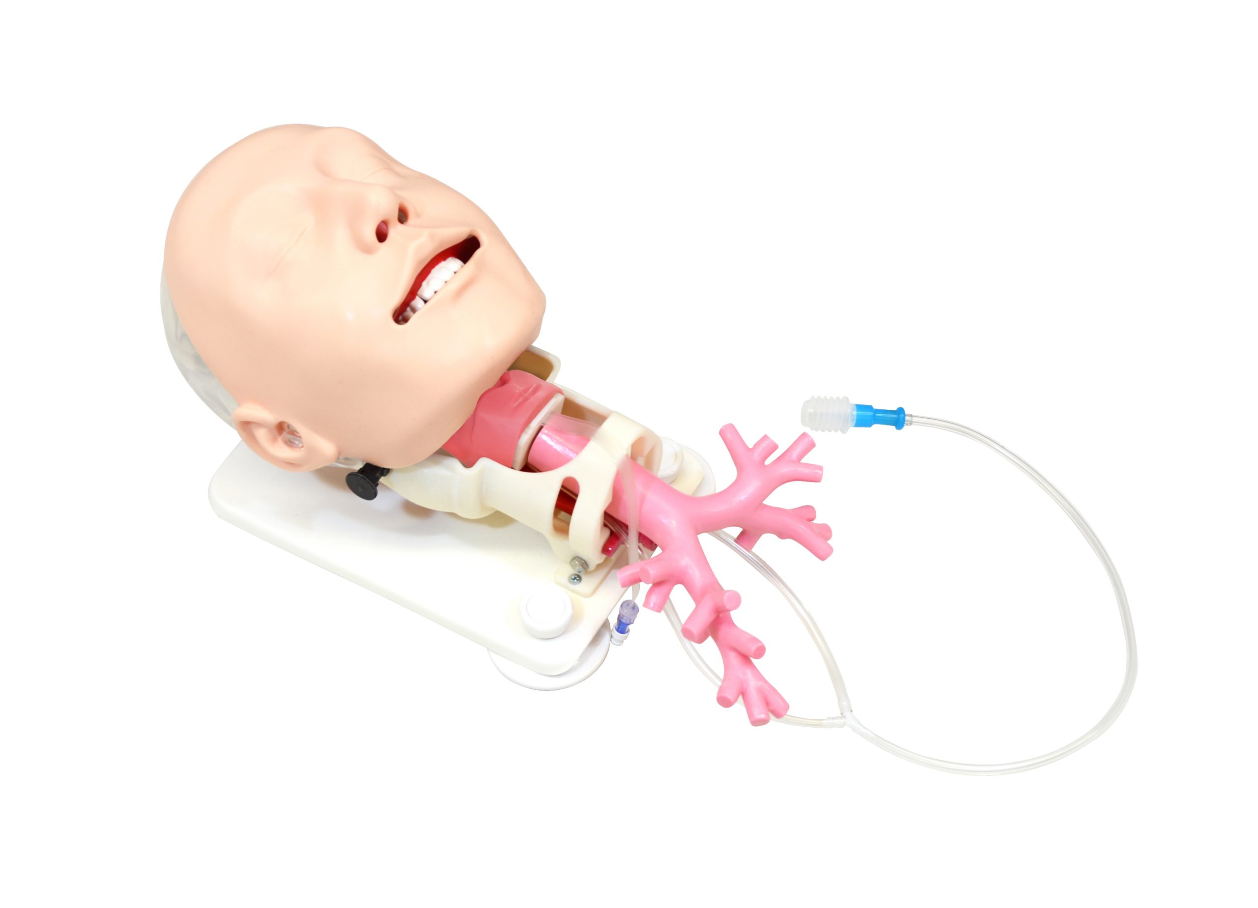 Difficult Airway Management Simulator - Bronchoscopy