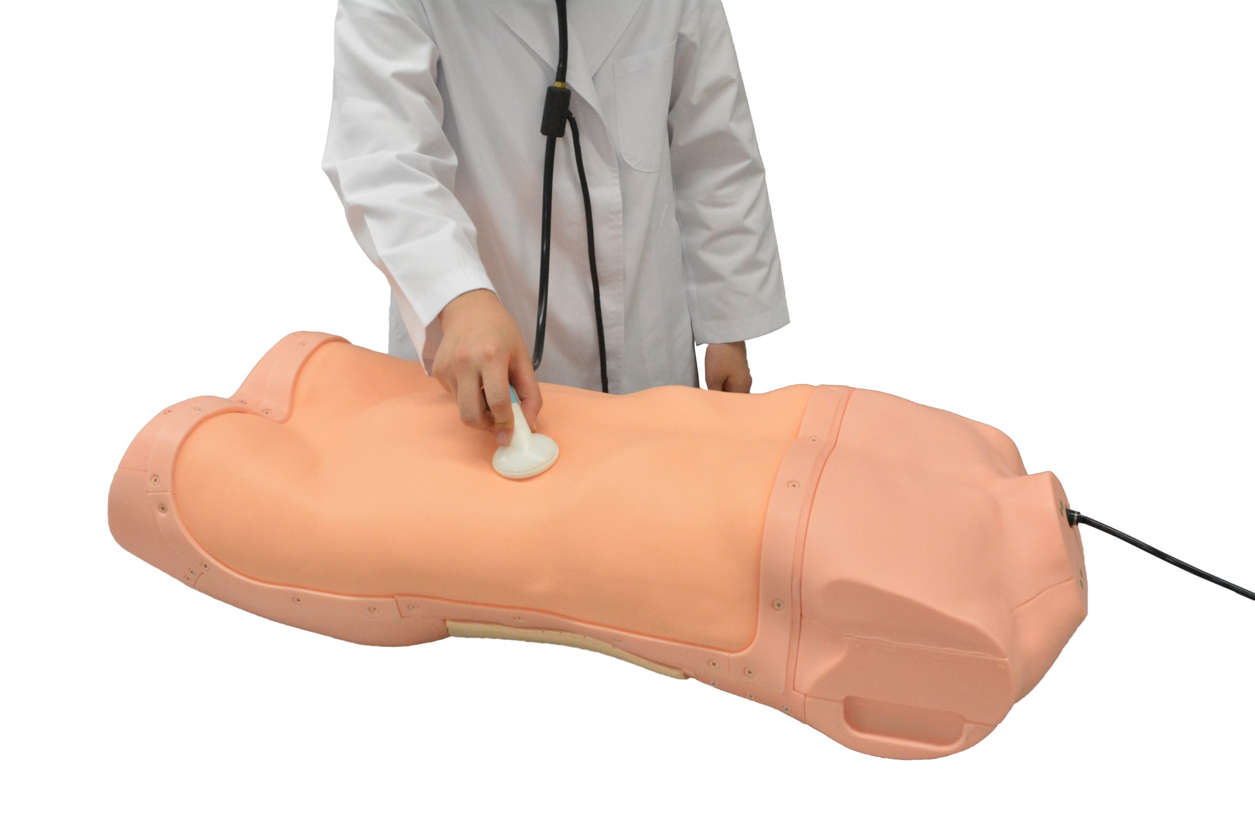 Abdominal Assessment Simulator (with Auscultation)