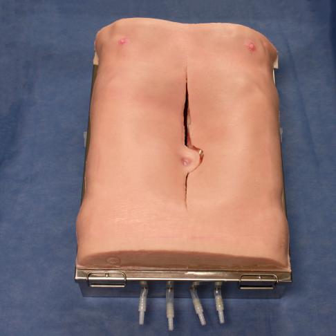 Abdominal Aortic Aneurysm (AAA) Abdomen Simulator