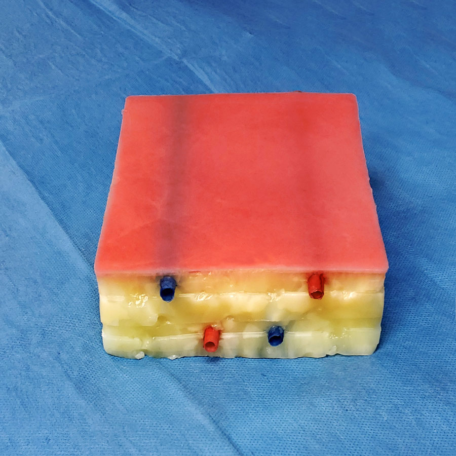 Embedded Biopsy Pad Model