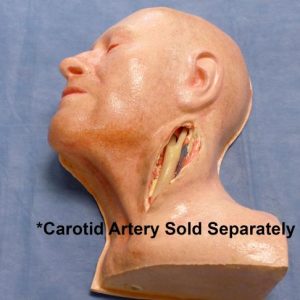 Carotid Head Simulator