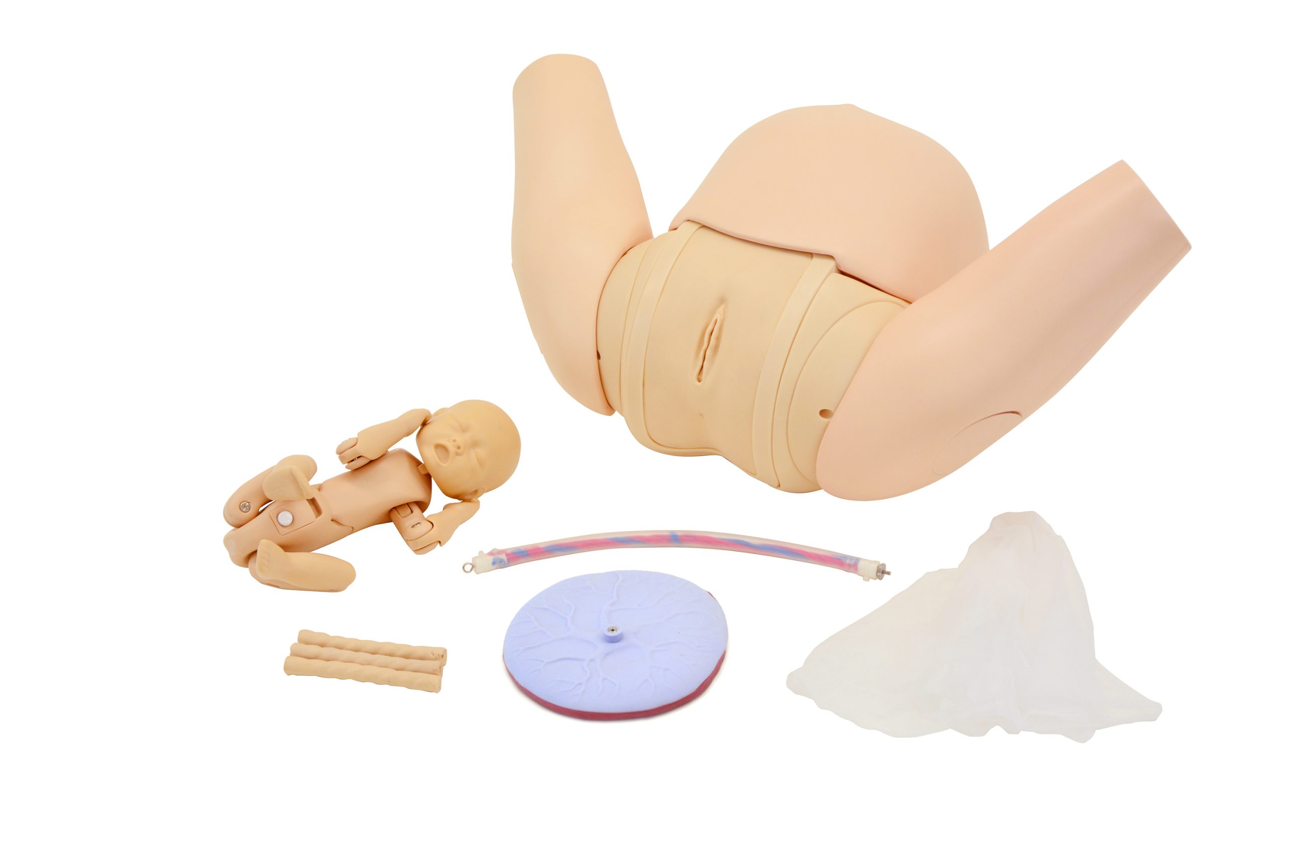 Vaginal Delivery Assistance Simulator