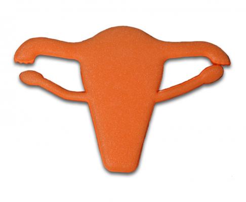 Foam Uterus