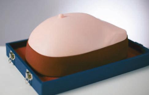 Visual-Tactile Breast Examination Simulator