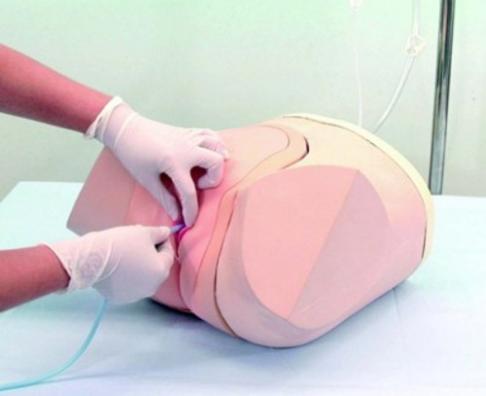 Catheterization / Enema Simulator - Female