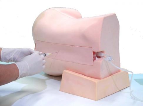 Epidural Anesthesia Simulator