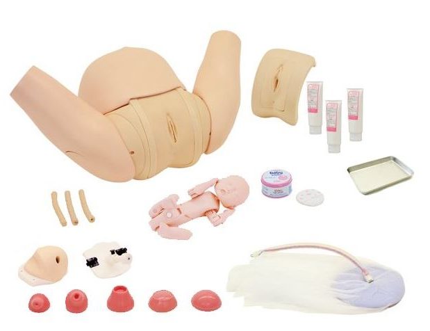 Obstetric Training Simulator - Complete Set