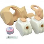 Female Pelvic Ultrasound Replacement Units