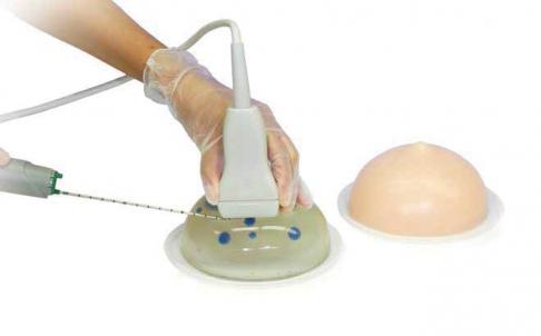 Breast Biopsy Training Model