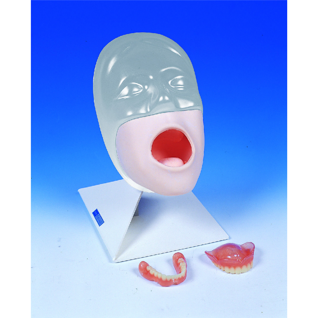 Oral Care Trainer