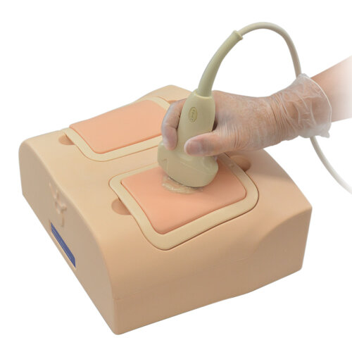 US19 Lung ultrasound Training Phantom