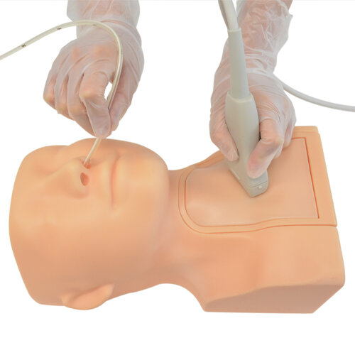 US-20 Ultrasound-Guided Tube Feeding Phantom